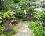樹木・庭石